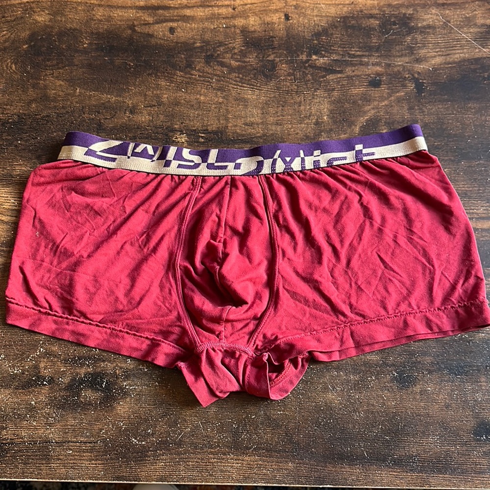2(X)ist Size L boxer brief
